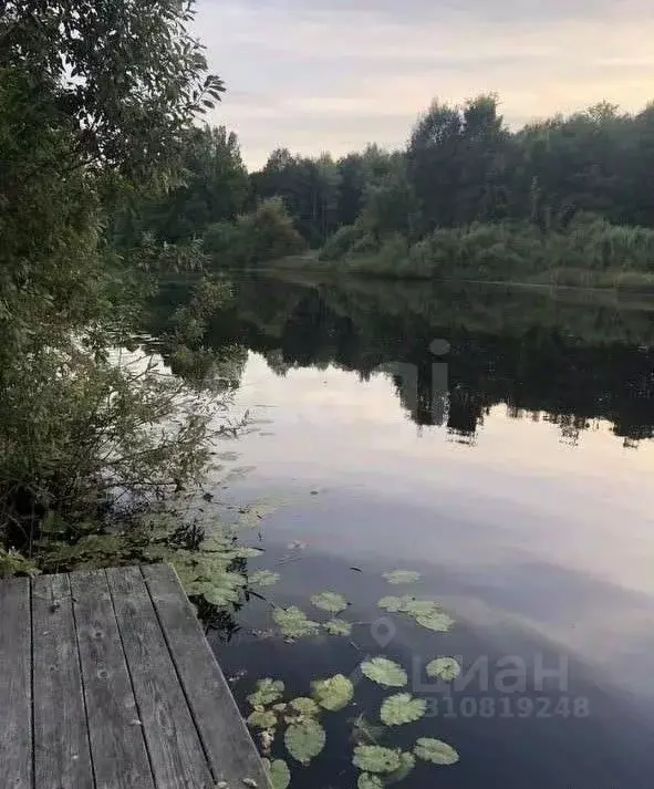 Участок в Марий Эл, Килемарский муниципальный округ, д. Петропавлово ... - Фото 0