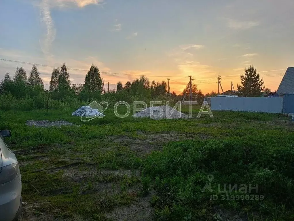 Участок в Тюменская область, Тюменский район, Нива СНТ ул. Урожайная, ... - Фото 1