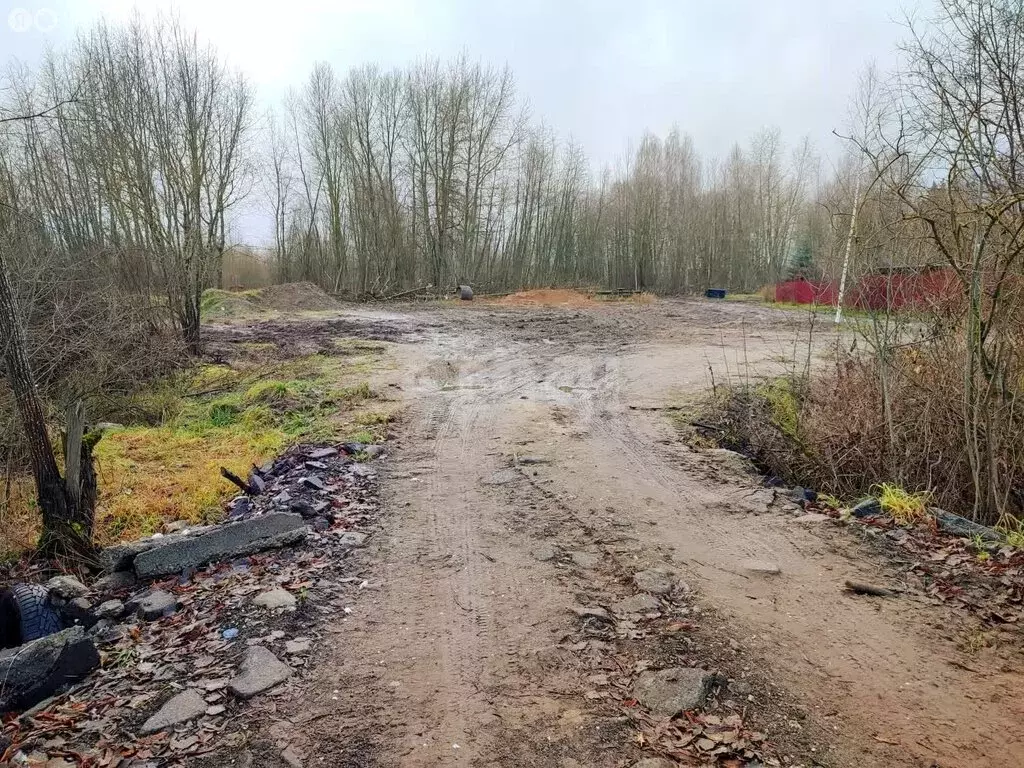 Участок в Череповец, Матуринская улица (9.64 м) - Фото 1