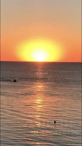 Участок в Крым, Симферопольский район, Николаевка пгт ул. Звездная, 32 ... - Фото 0