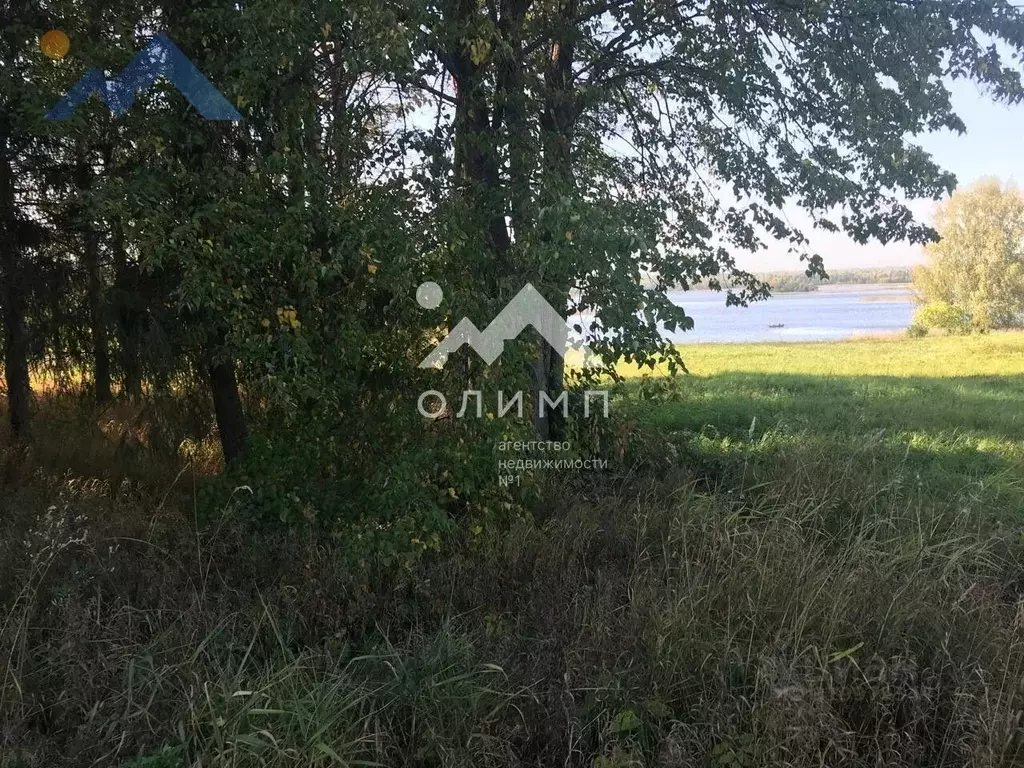 Участок в Вологодская область, Кирилловский муниципальный округ, д. ... - Фото 1