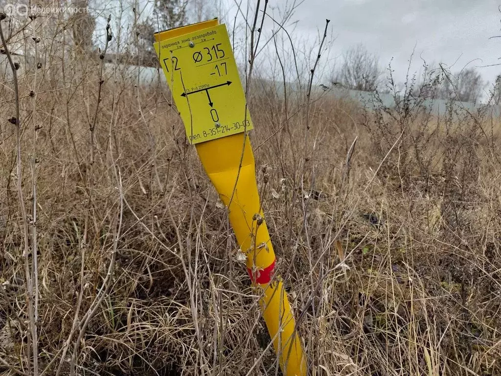 Участок в Челябинская область, Сосновский муниципальный округ, СНТ ... - Фото 1