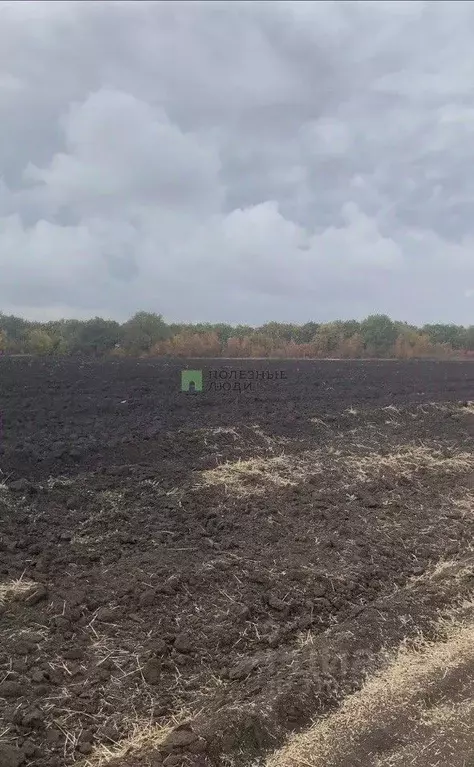 Участок в Саратовская область, Саратов Дом на Волге жилой комплекс ... - Фото 1