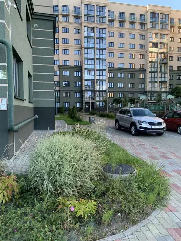 2-к кв. Калининградская область, Калининград Артиллерийская ул., 87 ... - Фото 2