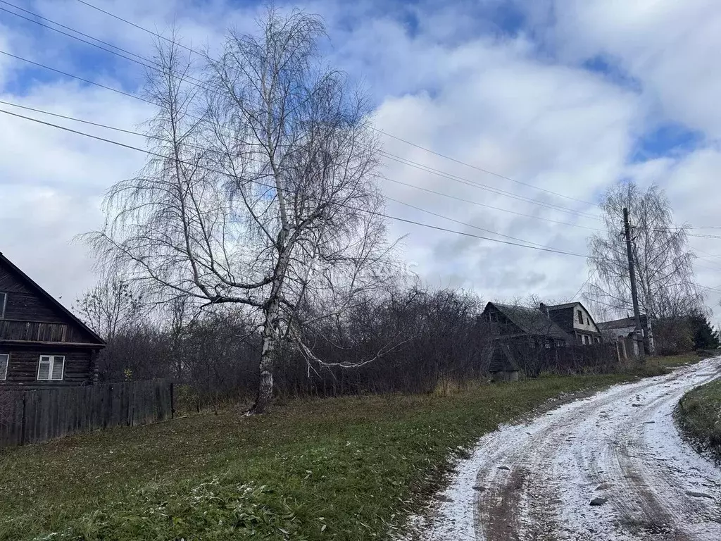 Участок в Владимирская область, Суздальский район, Новоалександровское ... - Фото 1