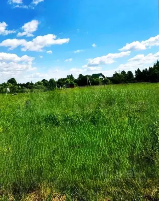 Участок в Краснодарский край, Ейск Заря СТСН,  (5.0 сот.) - Фото 1