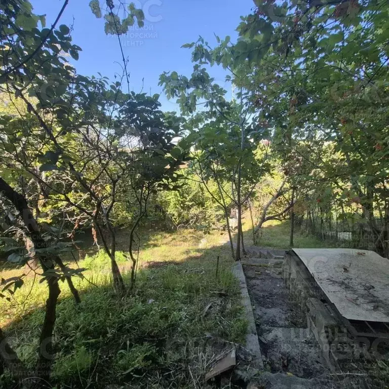 Участок в Краснодарский край, Сочи пос. Мамайский Перевал, ул. ... - Фото 1