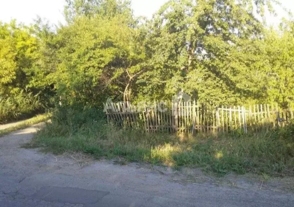 Дом в Ростовская область, Белокалитвинское городское поселение, СНТ ... - Фото 2