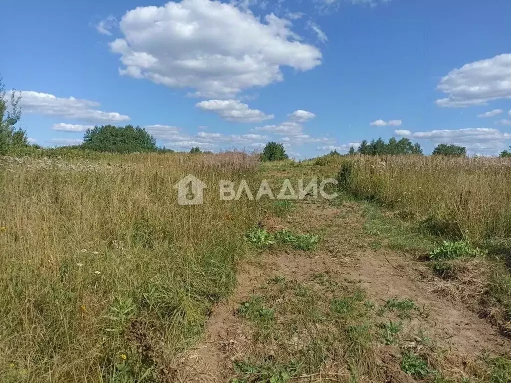 Участок в Владимирская область, Собинский муниципальный округ, д. ... - Фото 1