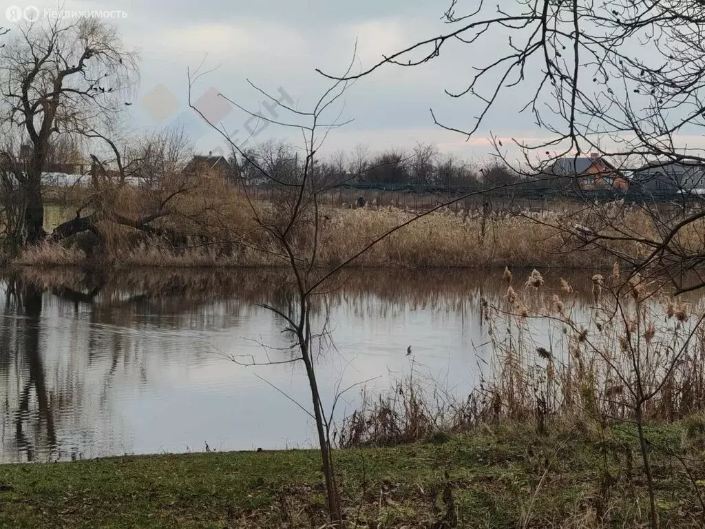 Участок в Новотитаровское сельское поселение, хутор Осечки, дачное ... - Фото 1