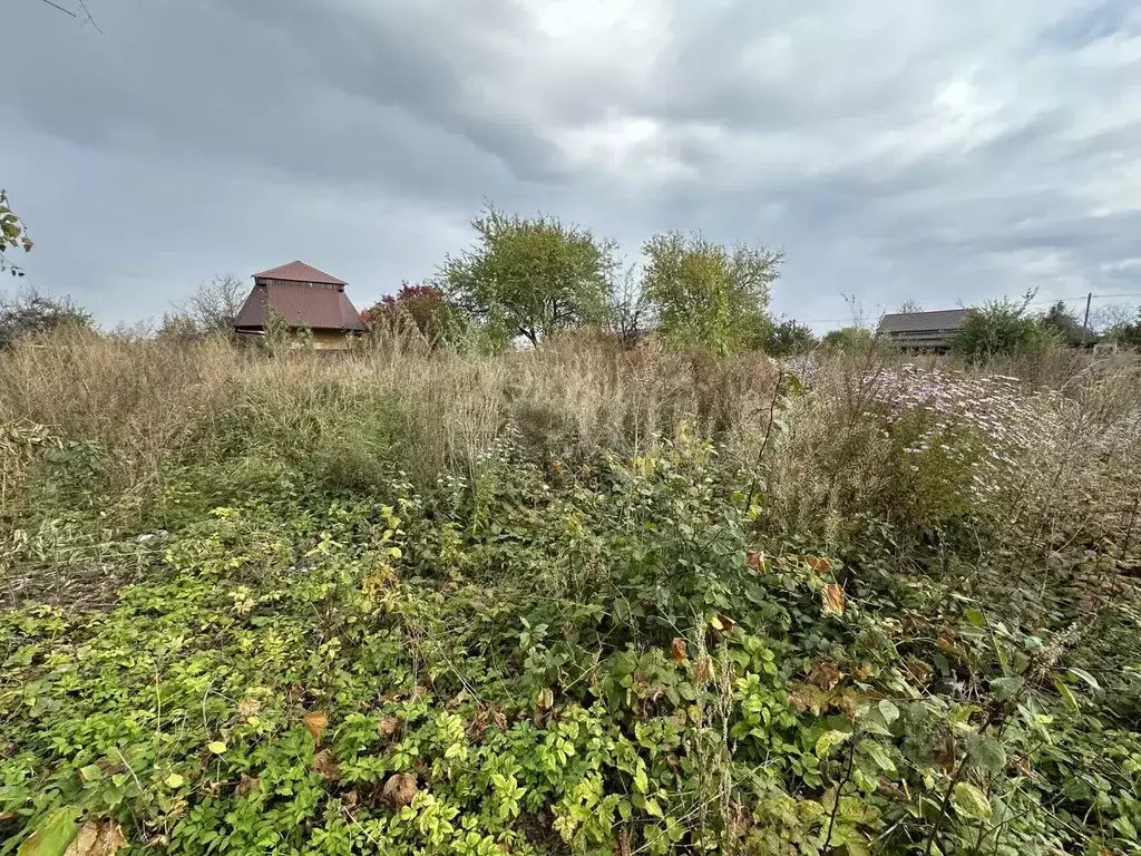 Участок в Калининградская область, Балтийск ул. Ажиновая (8.11 сот.) - Фото 1