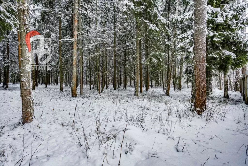Участок в Московская область, Красногорск (50 м) - Фото 1