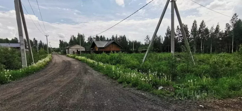 Участок в Ленинградская область, Всеволожское городское поселение, ... - Фото 1