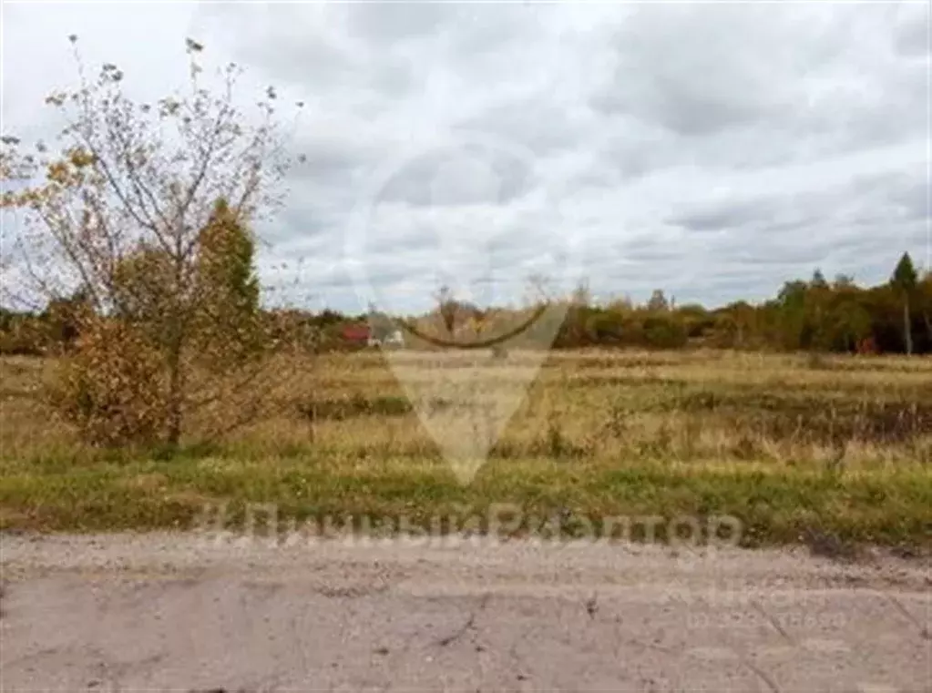 Участок в Рязанская область, Кораблинский муниципальный округ, с. Ключ ... - Фото 2