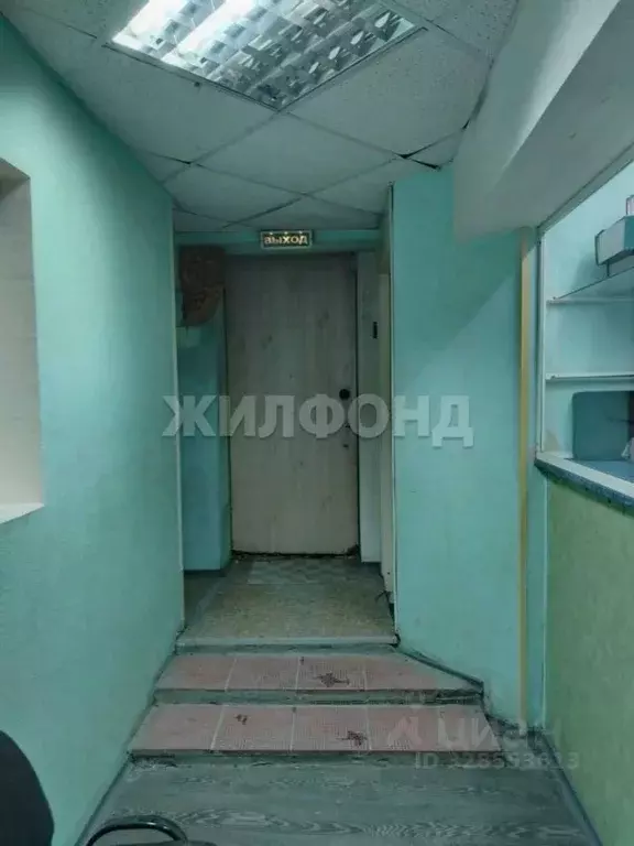 Помещение свободного назначения в Новосибирская область, Новосибирск ... - Фото 2