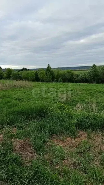 Участок в Томская область, Томский район, с. Тахтамышево Октябрьская ... - Фото 2