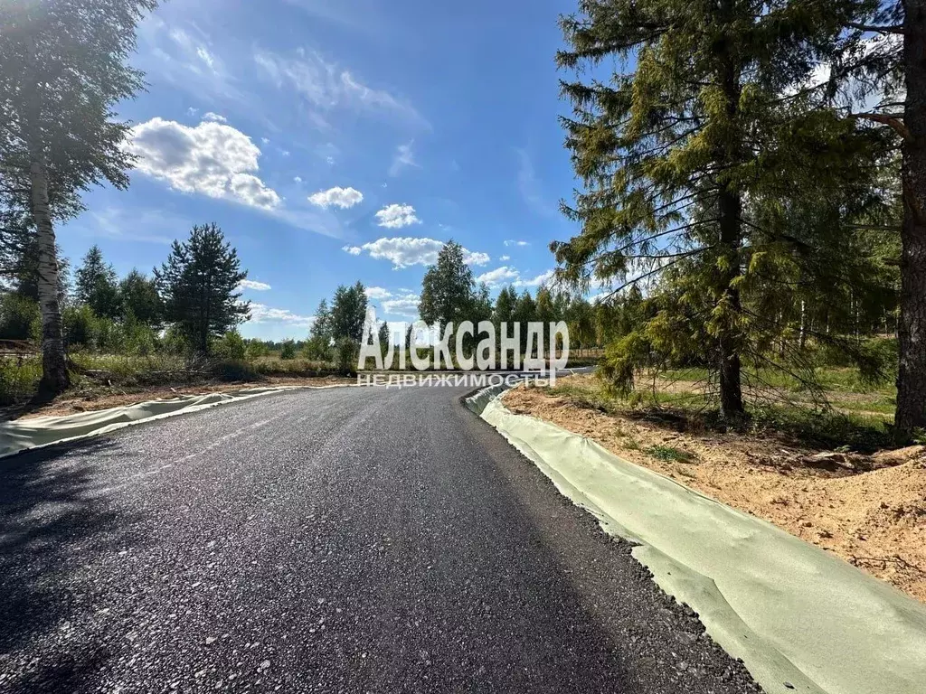 Участок в Ленинградская область, Всеволожский район, Куйвозовское ... - Фото 2