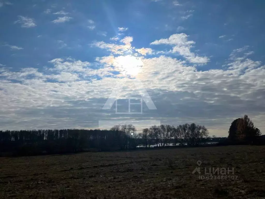 Участок в Челябинская область, Сосновский муниципальный округ, с. ... - Фото 1