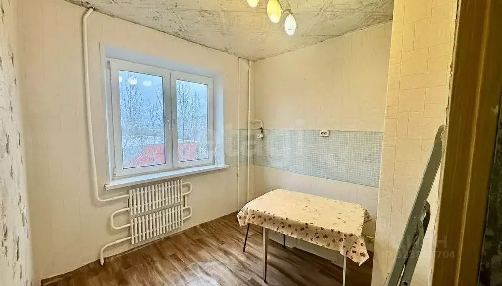 1-к кв. Оренбургская область, Оренбург Волгоградская ул., 5 (28.0 м) - Фото 1