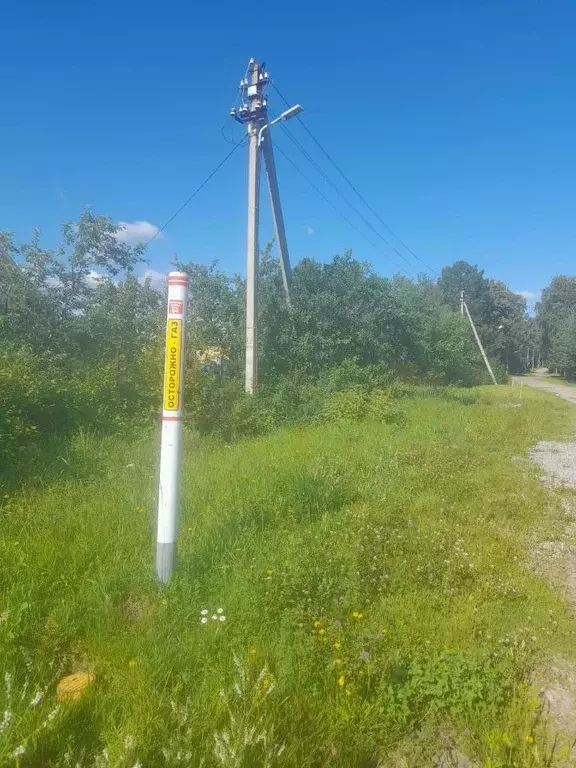 Погост лука Вологодская область