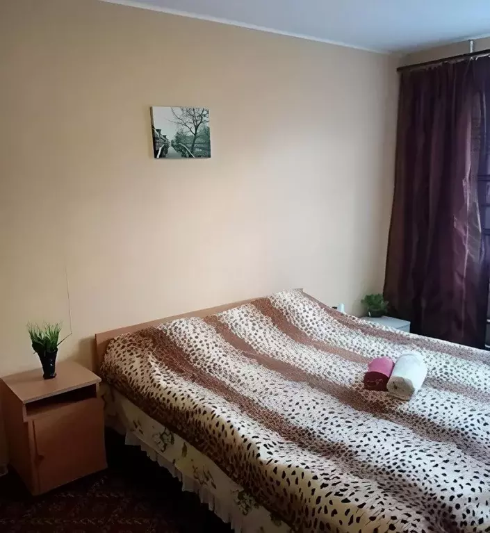 1-к кв. Московская область, Ногинск Богородский городской округ, ул. ... - Фото 1