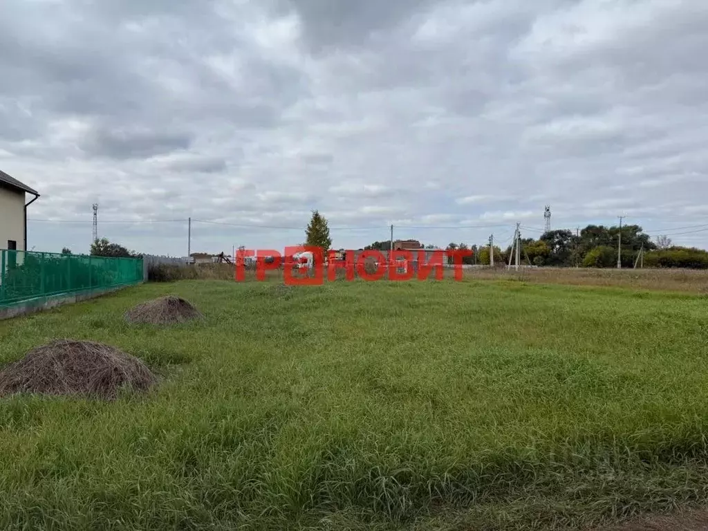 Участок в Новосибирская область, Новосибирский район, Верх-Тулинский ... - Фото 2