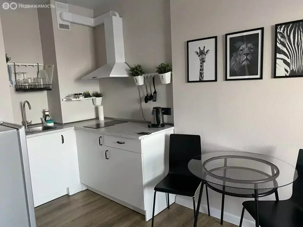 Квартира-студия: Ростов-на-Дону, Заводская улица, 35 (25 м) - Фото 0