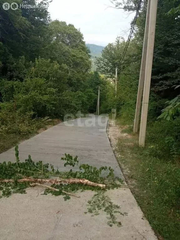 Участок в село Казачий Брод, садоводческое товарищество Форелевод (5.8 ... - Фото 1