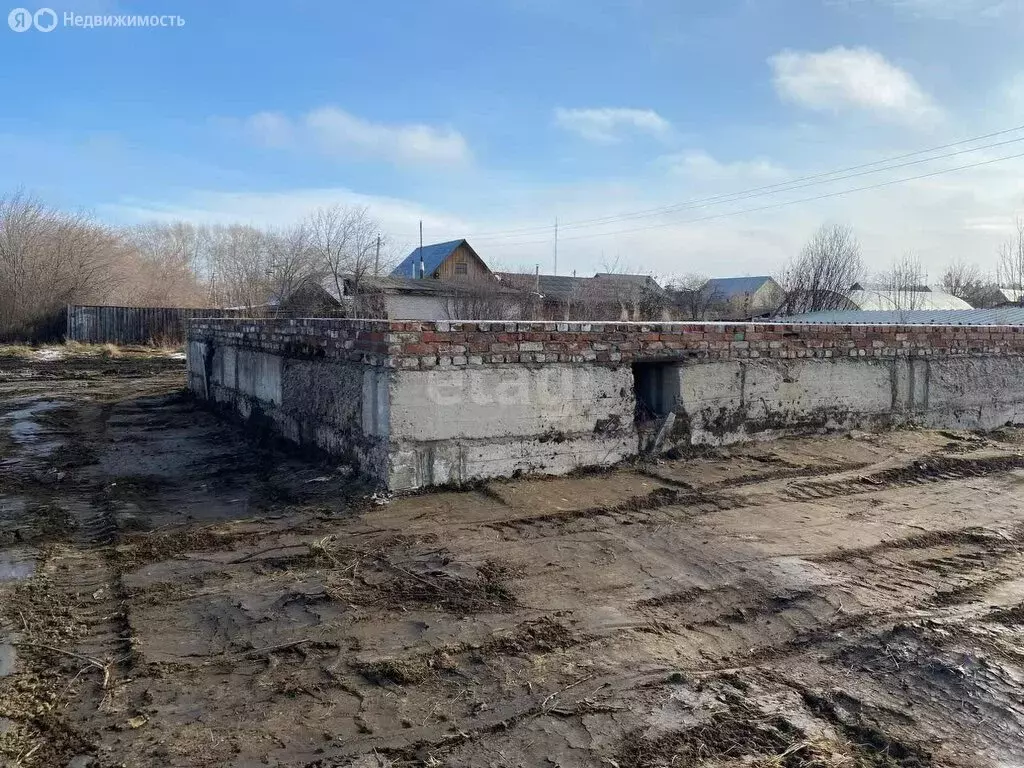 Участок в Курганская область, Шадринский муниципальный округ, село ... - Фото 1