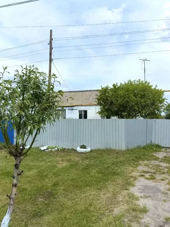 Дом в Омская область, Таврический район, с. Любомировка Юбилейная ул. ... - Фото 2