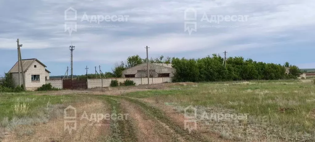 Помещение свободного назначения в Волгоградская область, Дубовский ... - Фото 1