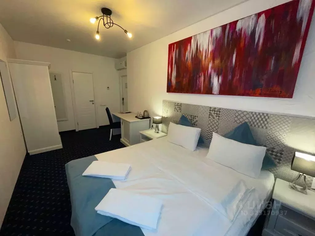 Комната Москва ул. Сретенка, 1С1 (20.0 м) - Фото 2