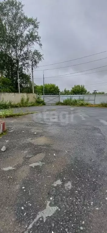 Участок в Курганская область, Шадринск Курганский тракт, 6 (11.74 ... - Фото 2