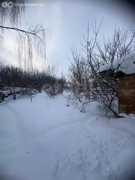 Участок в Кимовский район, сельское поселение Новольвовское, деревня ... - Фото 2