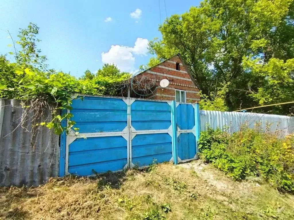 Дом в Белгородская область, Новооскольский муниципальный округ, с. ... - Фото 1