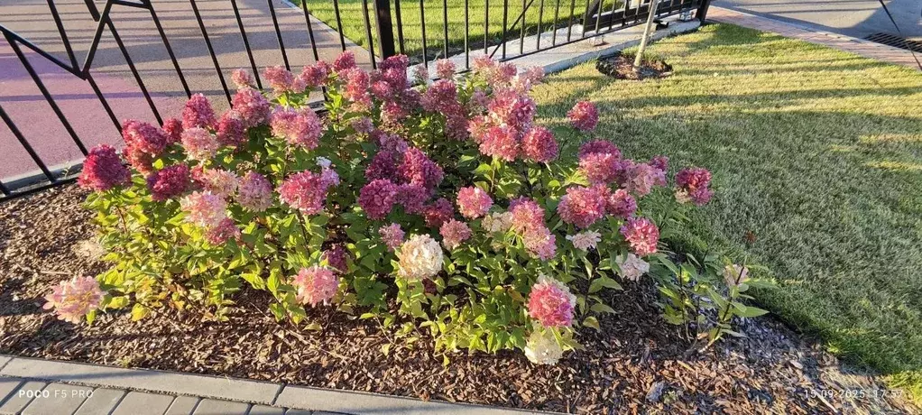 Студия Ульяновская область, Ульяновск просп. Академика Филатова, 9Г ... - Фото 2