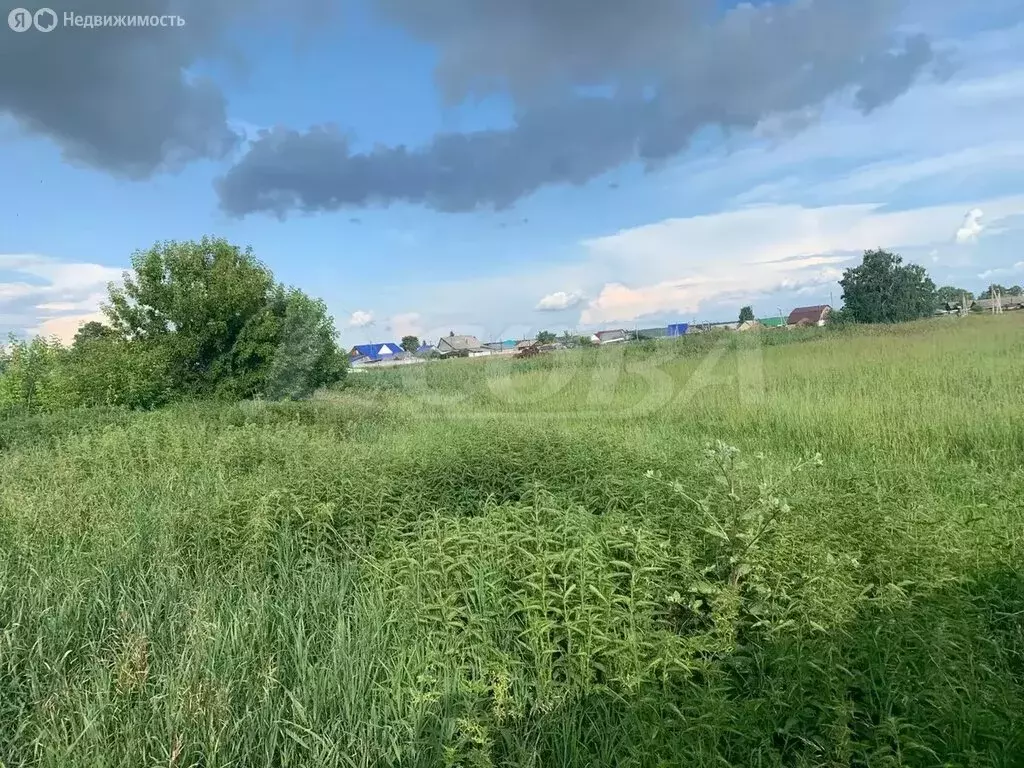 Участок в Ялуторовский район, село Сингуль Татарский (13 м) - Фото 0