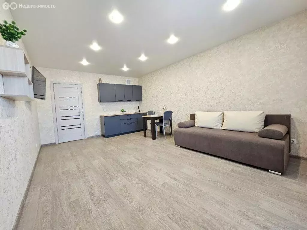 Квартира-студия: село Чигири, Восточная улица, 14/1 (29.4 м) - Фото 2