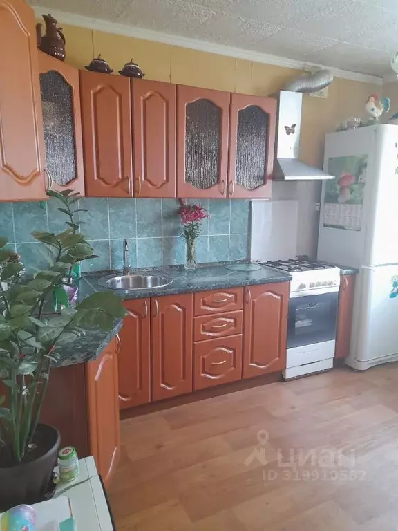 2-к кв. Омская область, Омск Заозерный мкр, ул. Бородина, 10/2 (51.0 ... - Фото 0