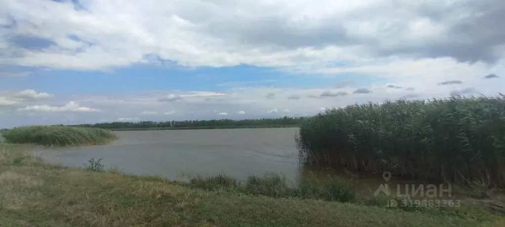 Участок в Краснодарский край, Щербиновский район, Новощербиновская ... - Фото 1