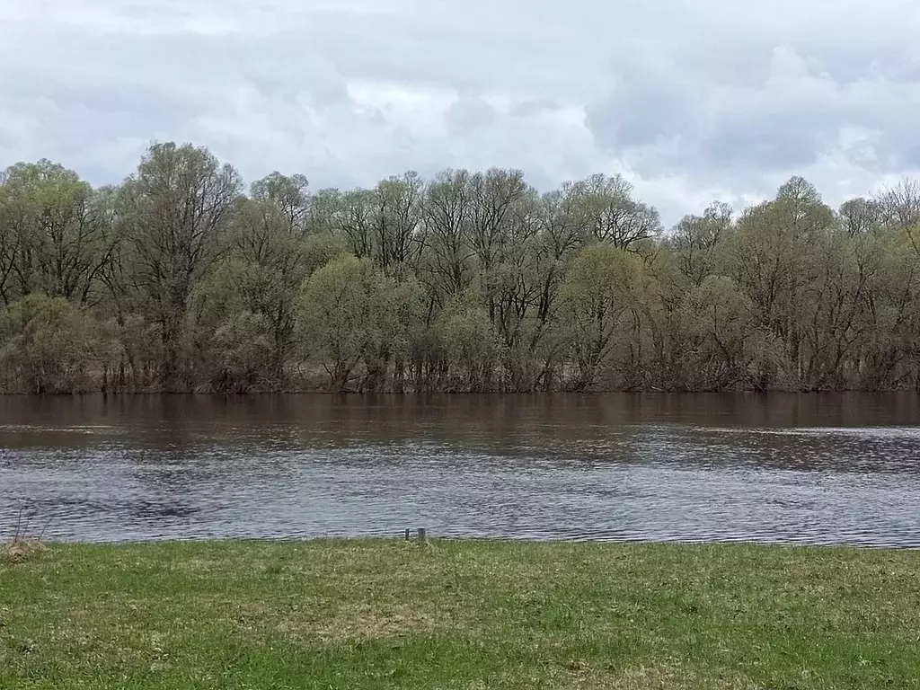 Участок в Новгородская область, Парфинский район, Федорковское с/пос, ... - Фото 0