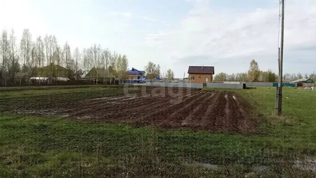 Участок в Марий Эл, Оршанский район, с. Великополье ул. Рябинина (22.5 ... - Фото 2