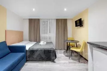 1-к кв. Санкт-Петербург Свечной пер., 17 (16.0 м) - Фото 1