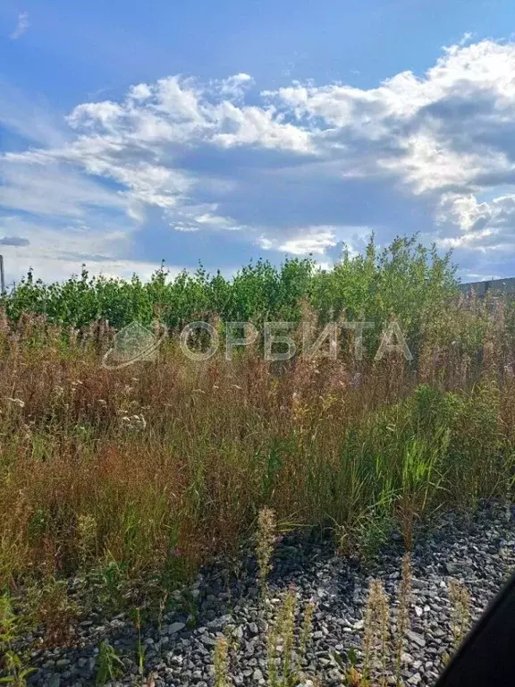Участок в Тюменская область, Тюменский район, д. Решетникова ул. ... - Фото 1