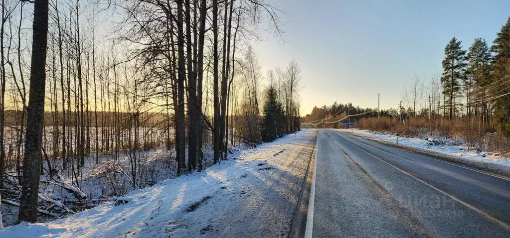 Участок в Ленинградская область, Выборгский район, Рощинское городское ... - Фото 1