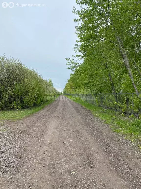 Участок в Булгаковский сельсовет (16.5 м) - Фото 2