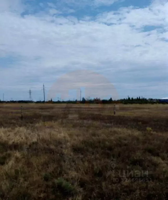 Участок в Крым, Сакский район, с. Лесновка ул. Садовая (6.0 сот.) - Фото 2