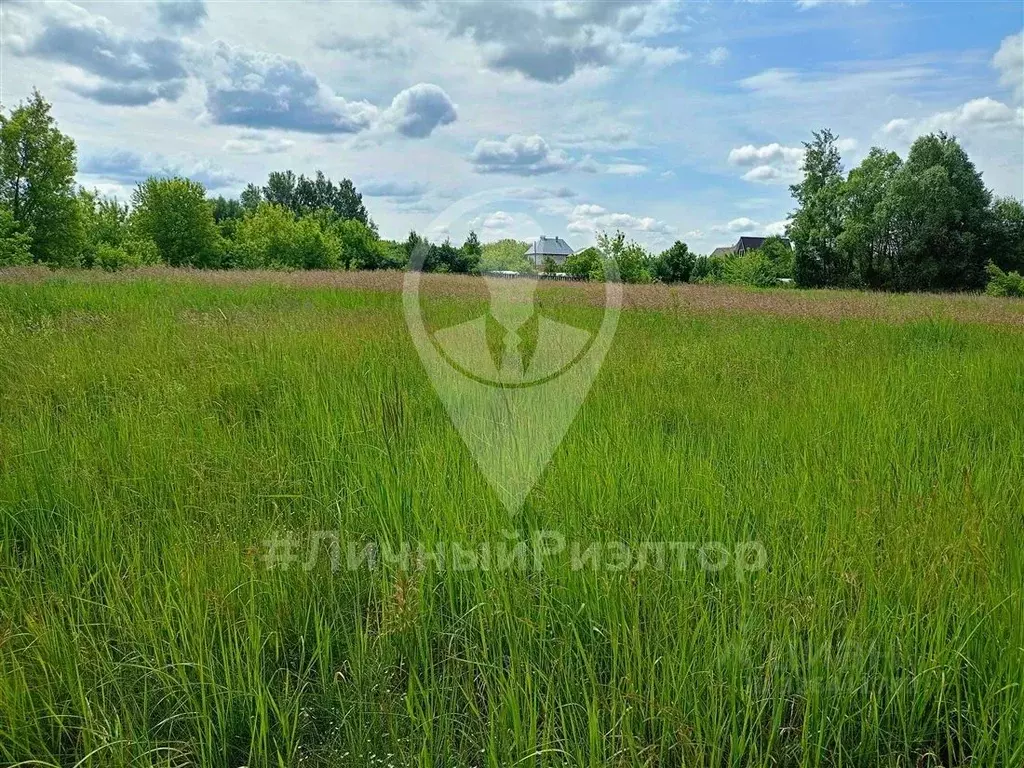 Участок в Рязанская область, Спасский муниципальный округ, с. ... - Фото 2