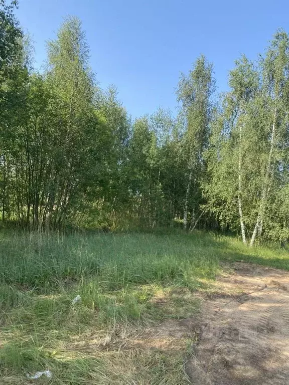 Участок в Московская область, Коломна городской округ, с. Чанки  (10.0 ... - Фото 0