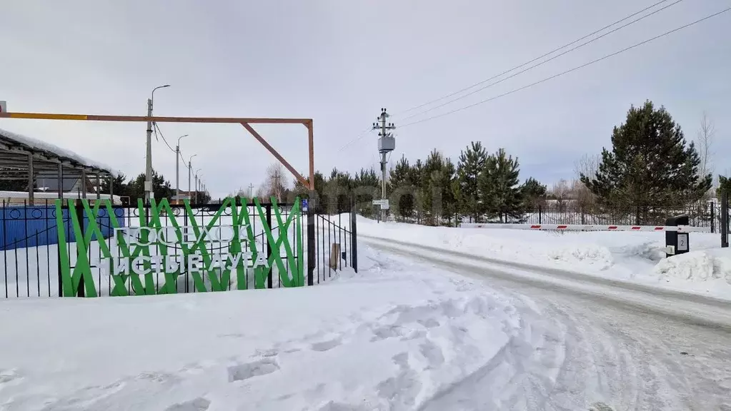 Участок в Новосибирская область, Коченевский район, Поселок Чистые ... - Фото 1